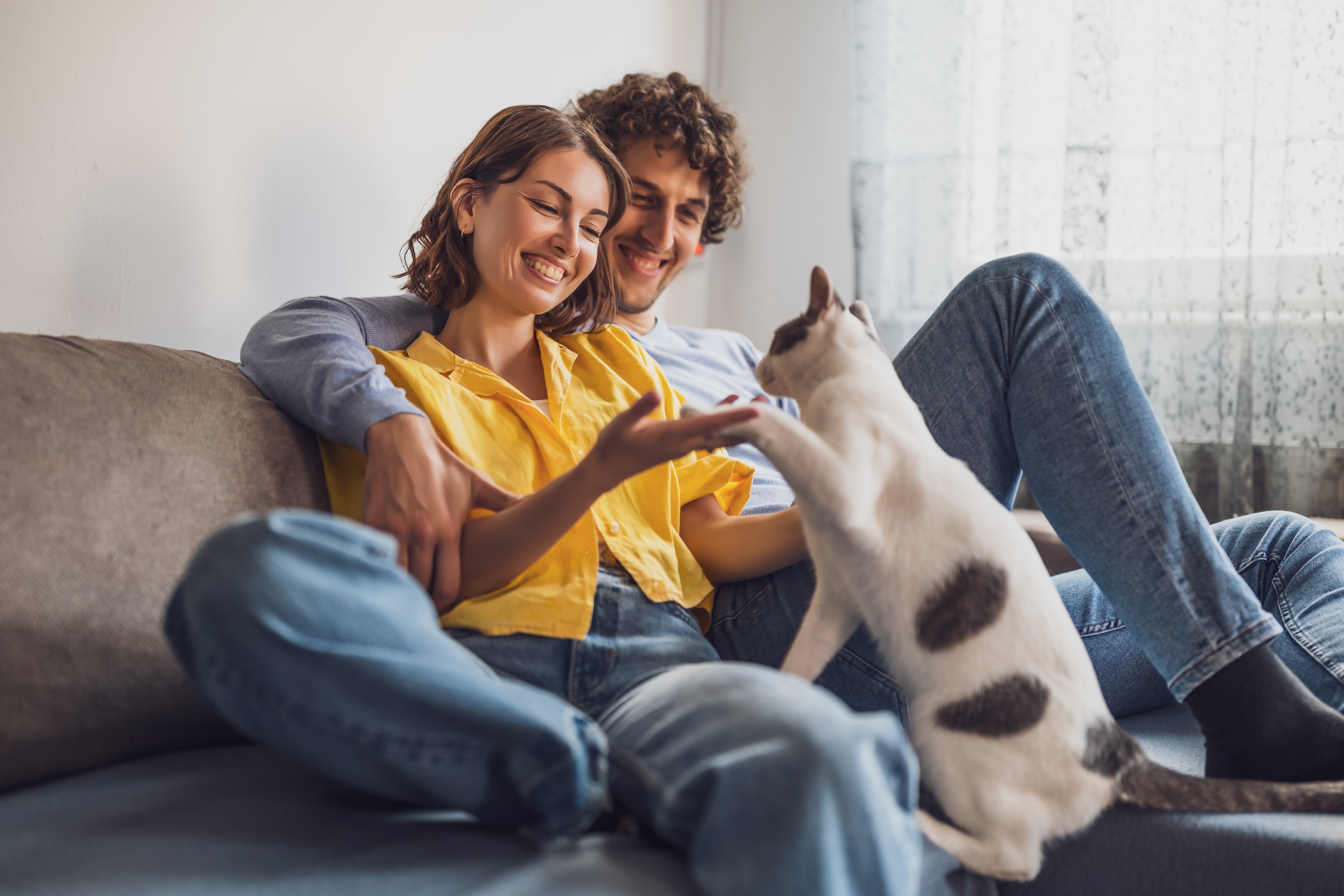 Compassionate veterinary support for a cat and owner