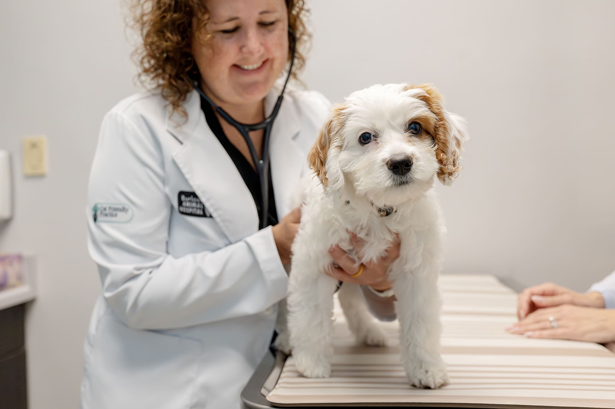 Happy dog receiving a wellness exam