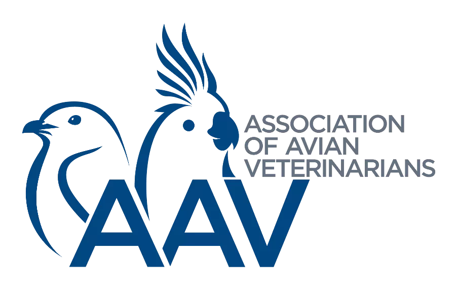 Accreditation partner logo