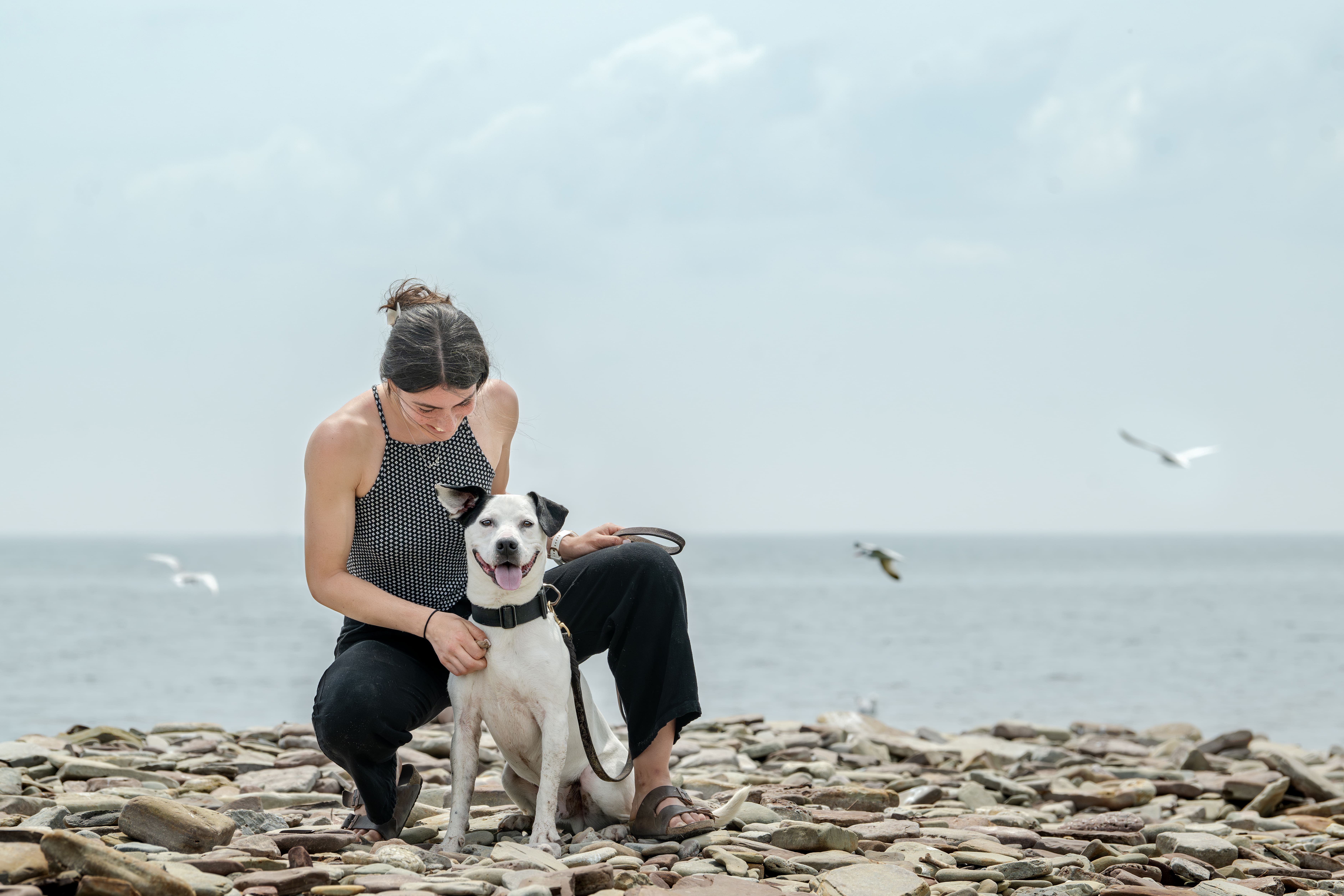 Veterinary team spending unhurried time with a pet and owner in a calm clinic